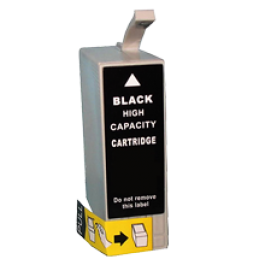 EPSON T048120 INK / INKJET Cartridge Black