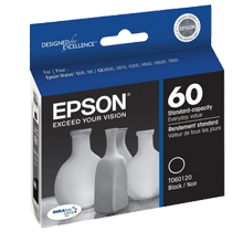 EPSON-T060120-INK-BLACK-OEM