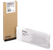 ~Brand New Original EPSON T606700 INK / INKJET Cartridge Light Black